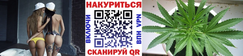 Магазины продажи наркотиков Буйнакск Alpha-PVP  МАРИХУАНА  Галлюциногенные грибы  ГАШ  МДМА  МЕФ 