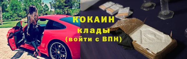прущие грибы Беломорск