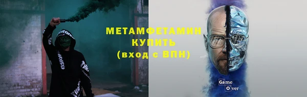 прущие грибы Беломорск