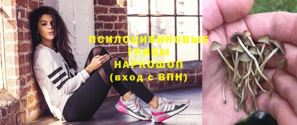 твердый Богородицк