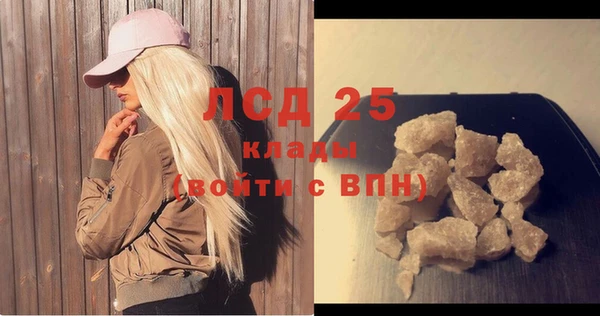 прущие грибы Беломорск