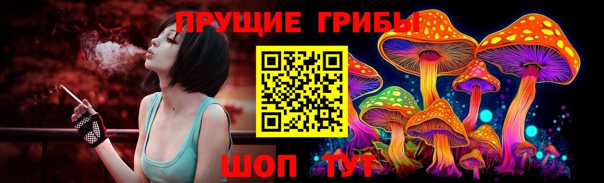 Буйнакск  Псилоцибиновые грибы Cubensis  Вход с VPN  Псилоцибиновые грибы мухоморы 