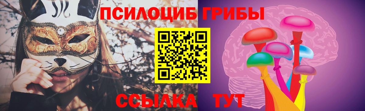 Псилоцибиновые грибы мицелий Буйнакск